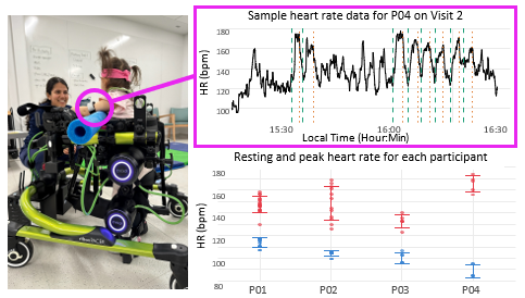 The picture on the left shows a child standing in the Trexo, an exoskeleton mounted on a Rifton gait trainer. Circled in pink is the Polar OH1 Optical Hearth Rate Sensor that the participant wears. The top right displays a sample graph of which illustrates the time series heart rate (HR) data collected for Participant 04 during Visit 2. The graph highlights the sharp increases in HR with session start and stop times indicated by green and red lines. The bottom right features a graph of resting and peak heart rate for each participant, which illustrates the increases in heart rate from baseline (resting) during Trexo use (peak).