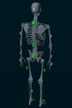 Noraxon IMU placement on the lower extremities and trunk