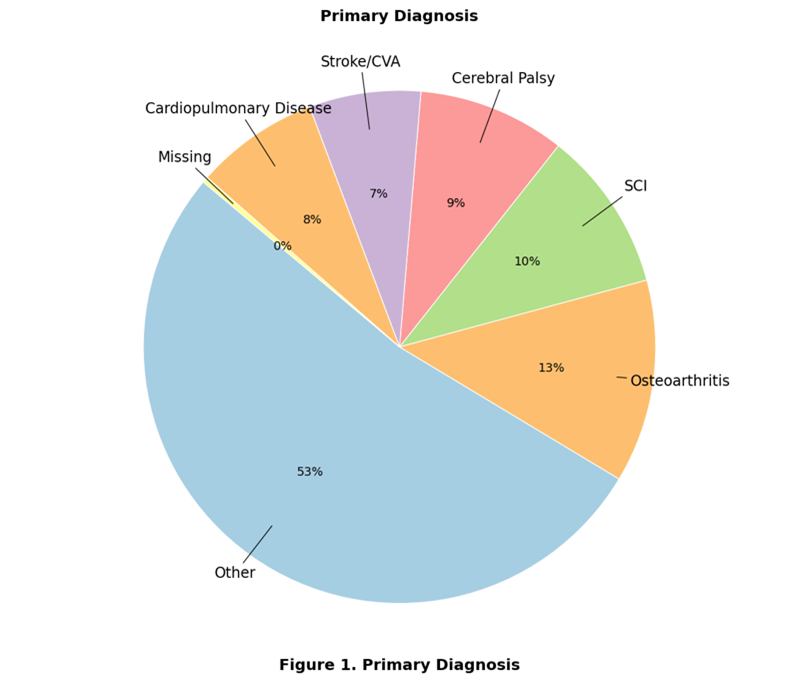 Figure 1. Primary Diagnosis